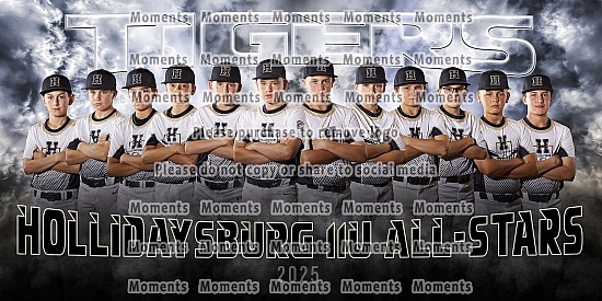 Hollidaysburg 11u Baseball 2025